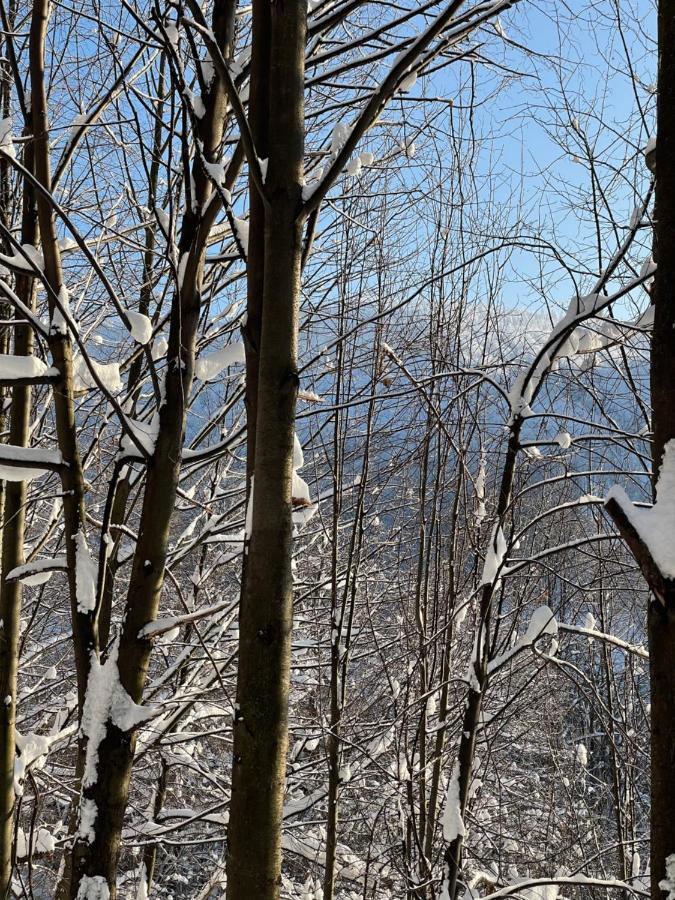 Kurort Kozubnik - Taras Nad Potokiem Porabka