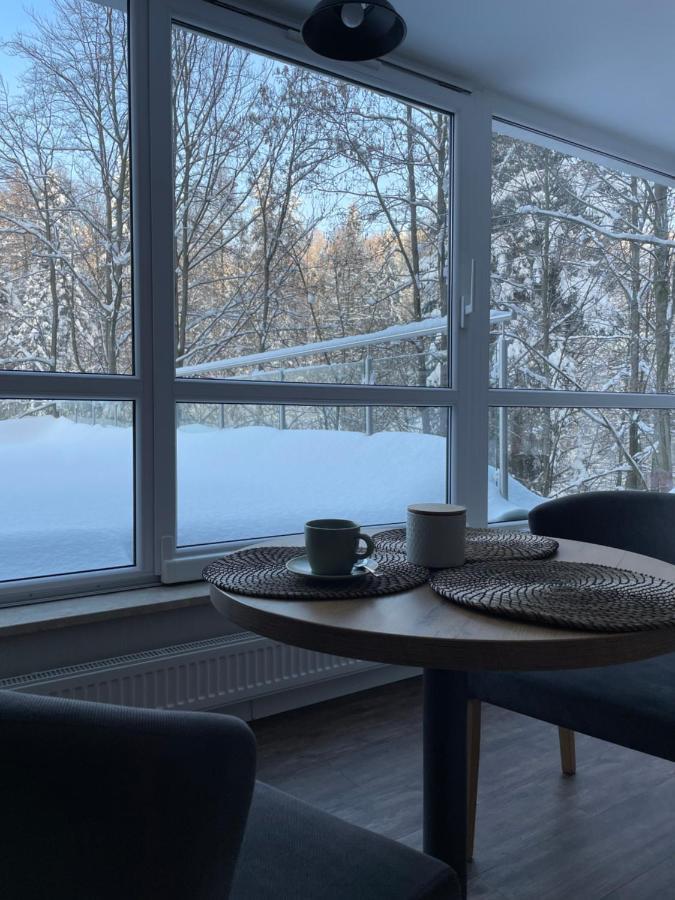 Apartment Kurort Kozubnik - Taras Nad Potokiem Porabka
